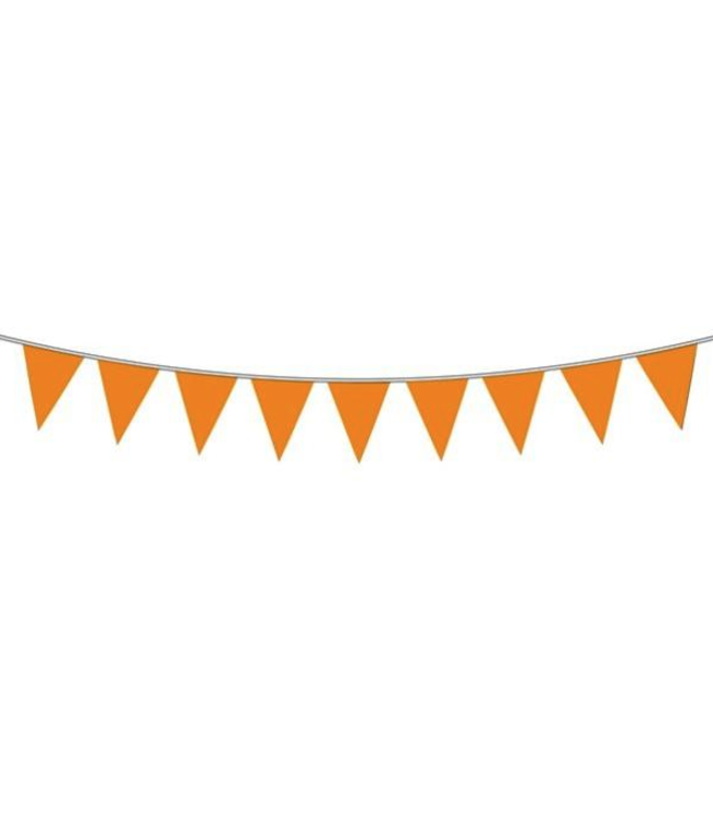 Globos Vlaggenlijn oranje - 10 meter
