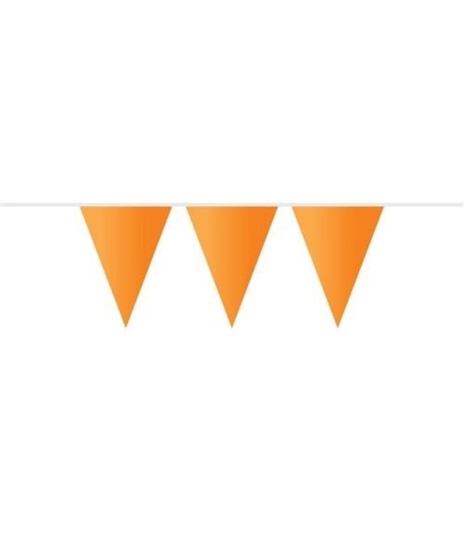 ACTIE Vlaggenlijn oranje | 10 meter