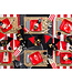 Popcorn Bakjes - Rood Wit - 6stuks