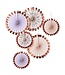 Waaiers Rosegoud mixed | 6 stuks