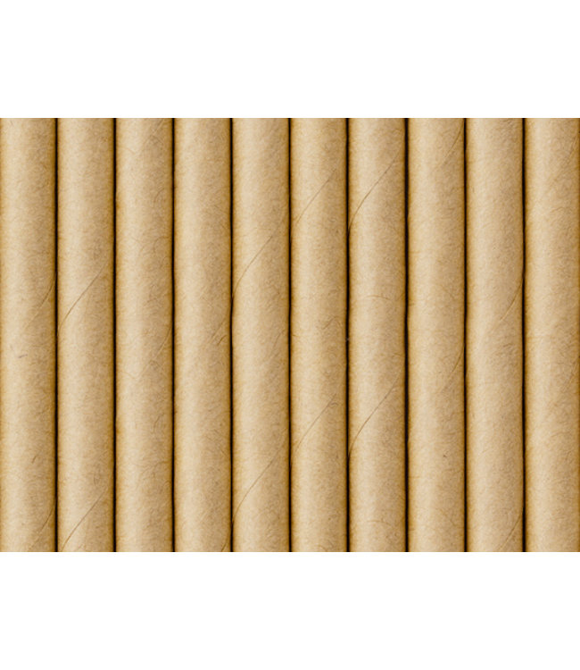 Kraft papieren rietjes - 10 stuks