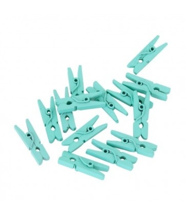 Globos Mini houten knijpers mintgroen | 24 stuks