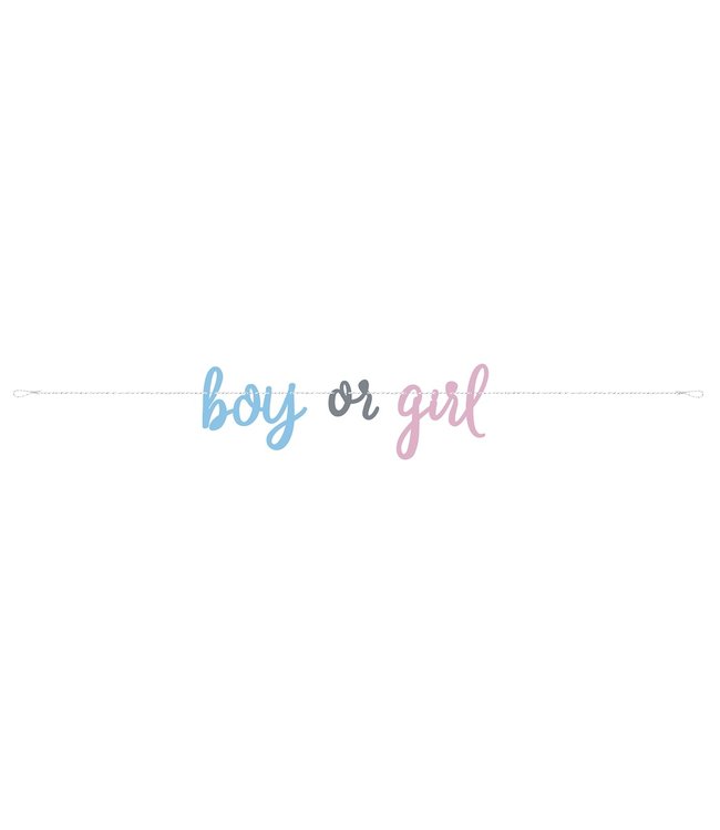 Unique Letterslinger gender reveal 'boy or girl' (213cm)