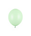 Ballonnen Pistache Pastel 30 cm | zak 100 stuks