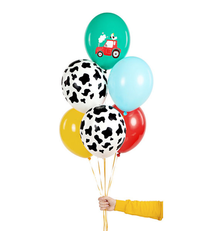 Ballonnenmix - boerderij - 6 stuks