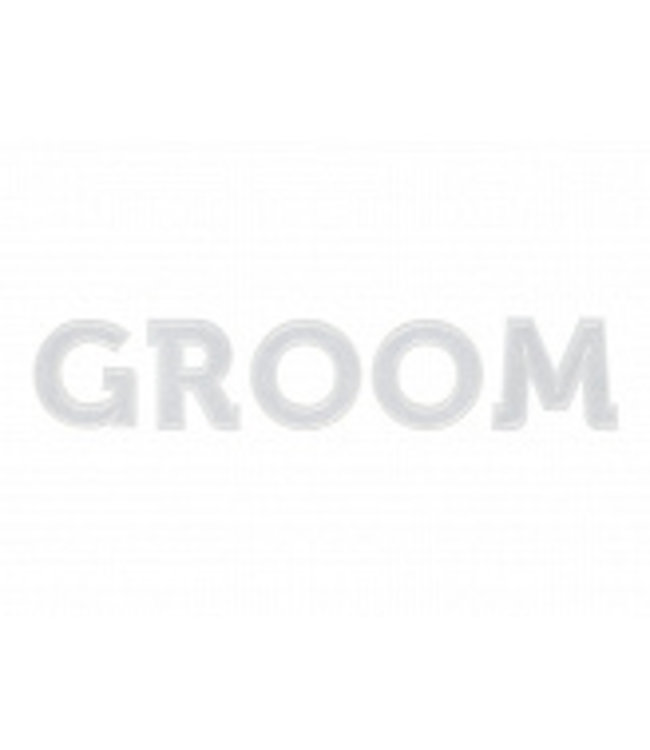 PartyDeco Strijkapplicatie GROOM - wit