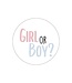 OUTLET Stickers Girl or Boy? - zakje 20 stuks