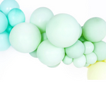 Ballonnen Pastel Pistache | 30cm | 50 stuks
