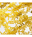 Confetti Just Married goud - zakje 14 gram