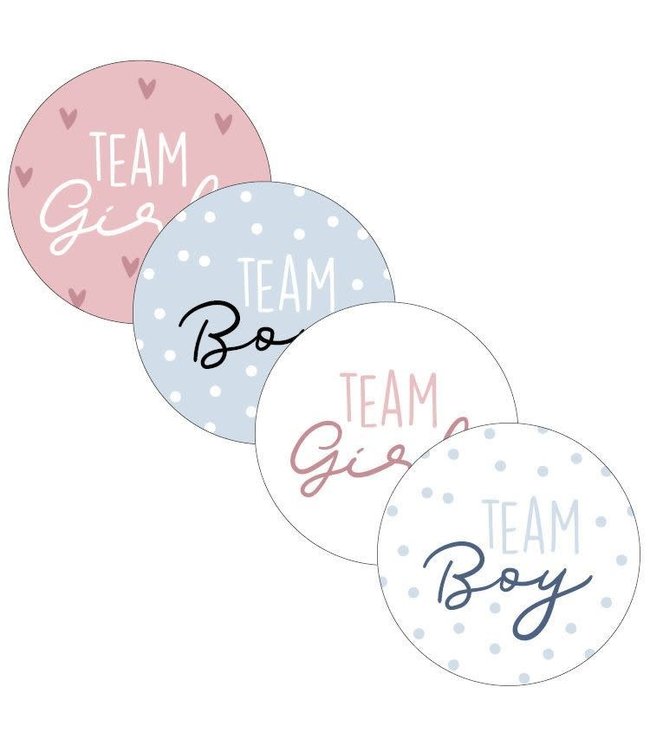 Stickers mix team boy / team girl | zakje 20 stuks