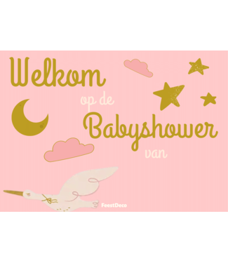 Feestdeco kaarten OUTLET Welkomsbord Babyshower ooievaar | 30 x 42cm
