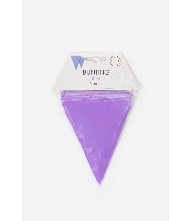 Mini vlaggenlijn lila | 3 meter