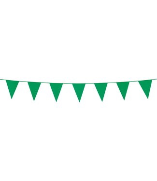 Globos Mini vlaggenlijn groen | 3 meter