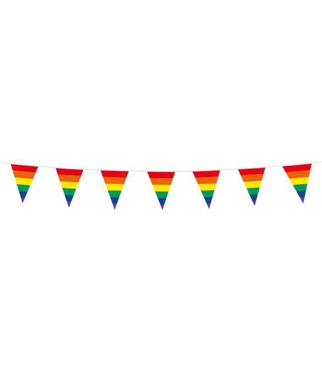 Mini vlaggenlijn regenboog | 3 meter
