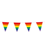 Vlaggenlijn regenboog | 10 meter