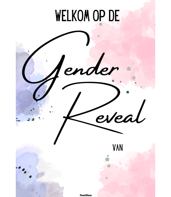 Feestdeco kaarten Gender Reveal welkomsbord XXL | 42 x 60 cm