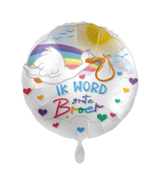 Everloon Folieballon Ik word grote broer | Ooievaar | 43 cm