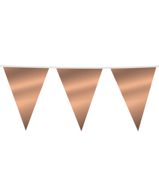 Globos Vlaggenlijn XXL Rosegoud | 10 meter