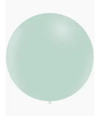 Reuzeballon matte groen 48 cm