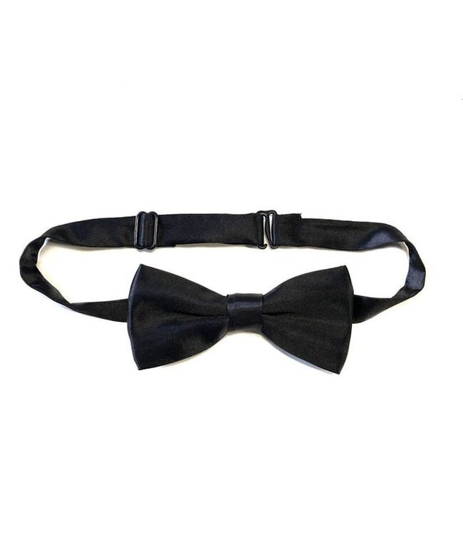 Kaart Wil jij onze bruidsjonker zijn? | Wit/Zwart | Met zwart vlinderstrikje