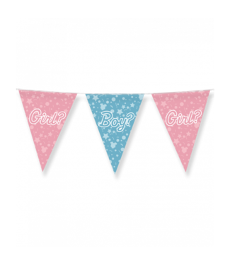 Vlaggenlijn Gender Reveal | Roze, Blauw | 10 meter