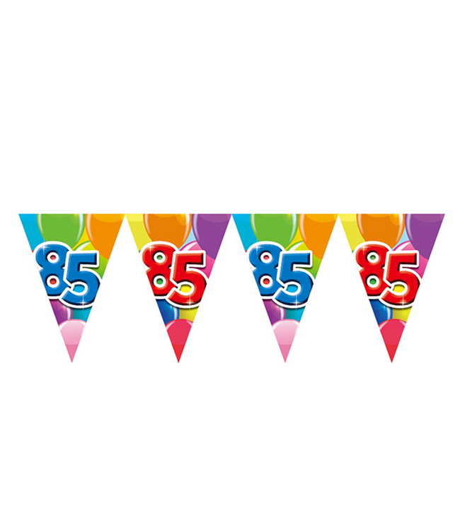 Vlaggenlijn "85" feest | 10 meter