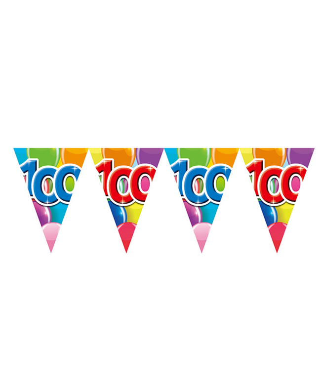 Vlaggenlijn "100" feest | 10 meter