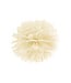 PartyDeco Pompom creme/ivoor - 25 cm