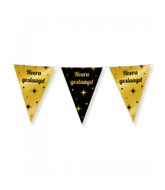 Vlaggenlijn Hoera geslaagd | Zwart & Goud | 10 meter