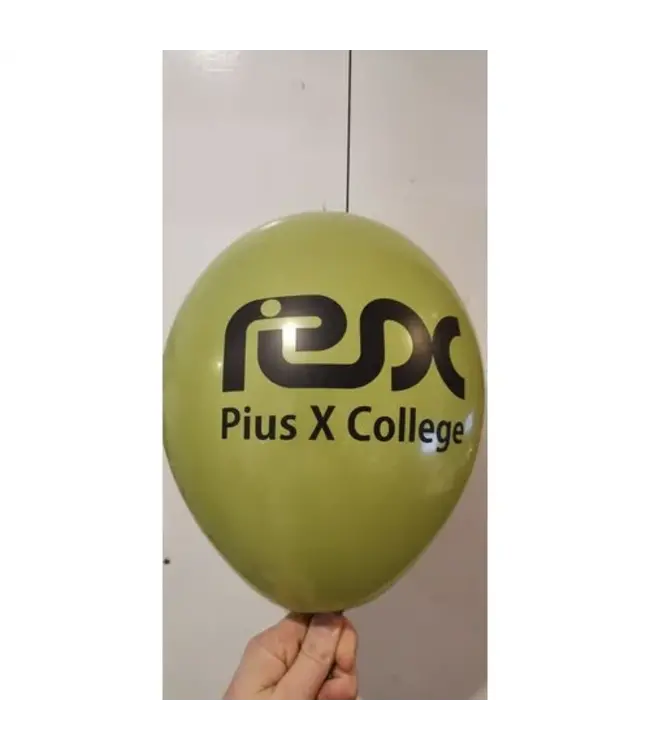 Ballonnen met eigen logo of tekst | 500 stuks