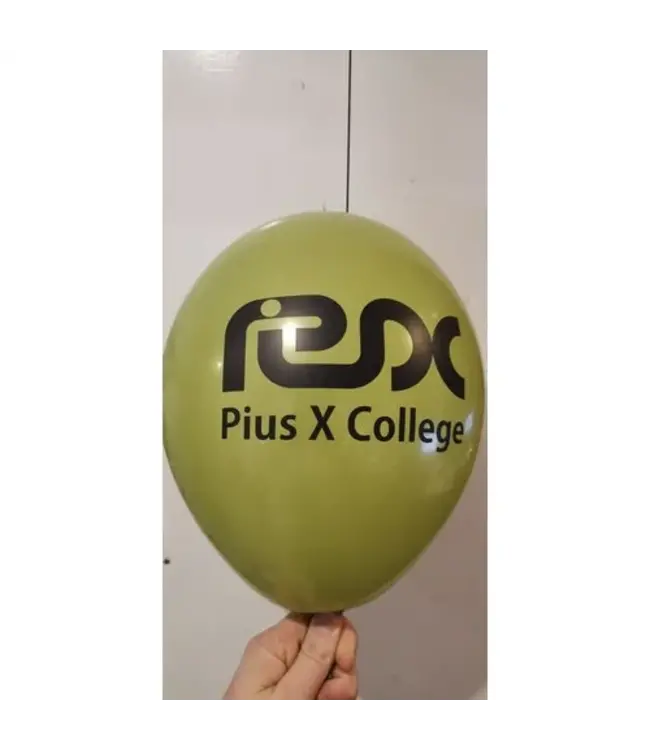 Ballonnendeal Ballonnen met eigen logo of tekst | 500 stuks