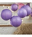 Lampionnen paars | 5 stuks