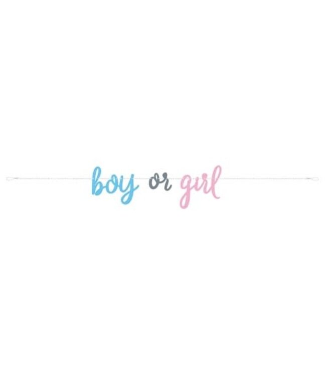 Letterslinger 'Boy or girl' | 2 m