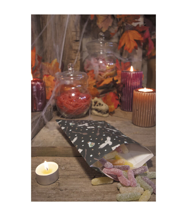 Cadeauzakjes Harry Potter | 8 stuks
