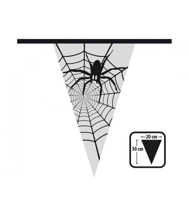 Vlaggenlijn Spinnenweb | 6 meter