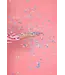 Confetti kanon | Blauwe vlinders | Gender Reveal