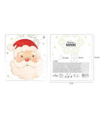 PartyPal OUTLET Kerstman servetten | 10 stuks