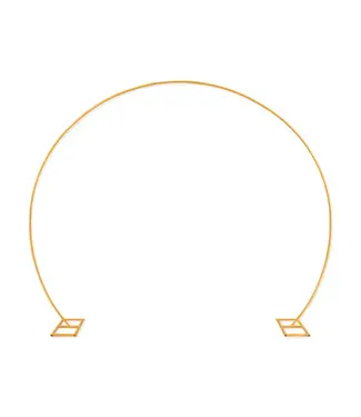 PartyPal Gouden ballonframe | 315 x 240 cm