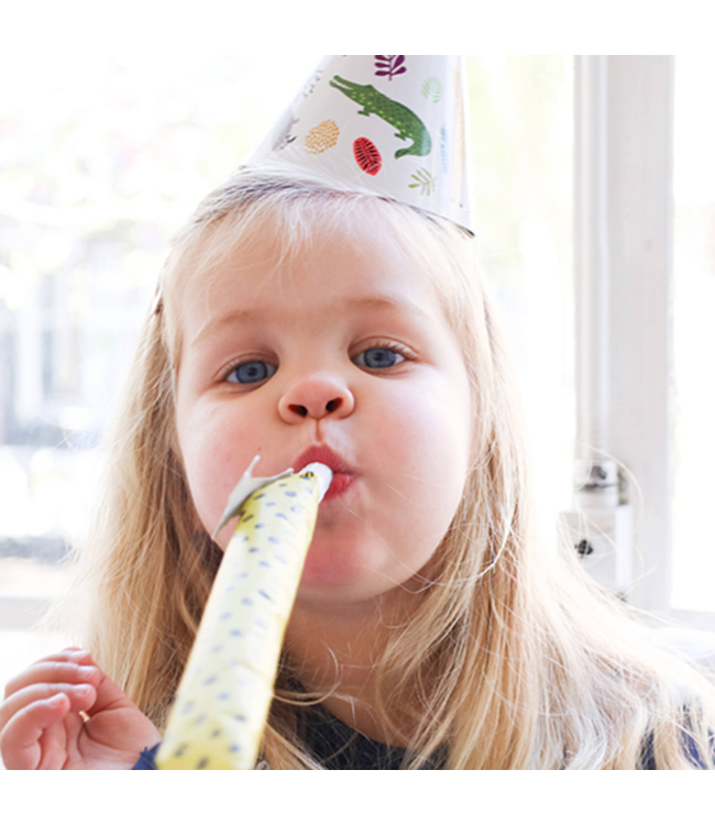 Feesttoeters in alle kleuren en maten