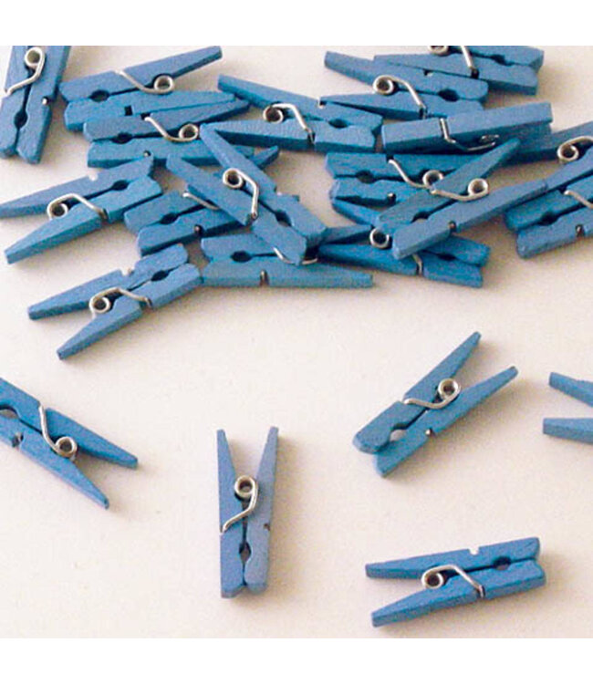 Blauwe knijpers | 24 stuks