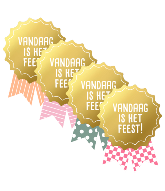 Stickers Vandaag is het feest | zakje 20 stuks