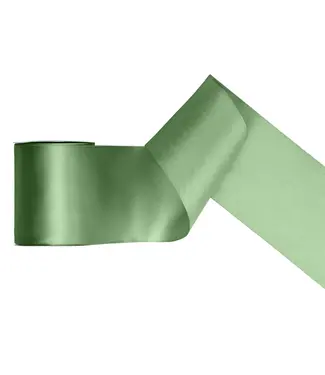 PartyDeco Satijnen lint sage | 100 mm x 25 m