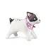 Folieballon bulldog hond | 75cm x 57 cm