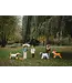 Folieballon corgi hond | 88cm x 70cm