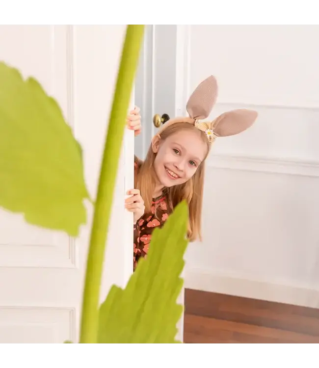 Paashaasoortjes met strik beige | 1st