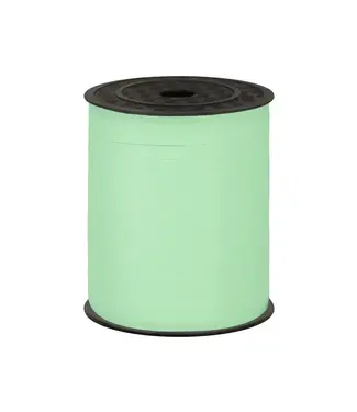 PartyPal Cadeaulint Pastel groen | 458m