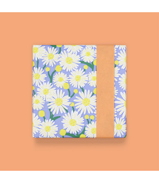 Cadeaupapier Daisy Blue - Salmon | 70 x 300 cm