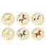 Bordjes paarden | 6 stuks
