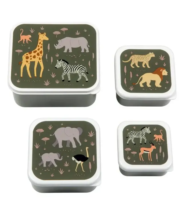 Lunch & Snackbox | Savanne | 4-delig