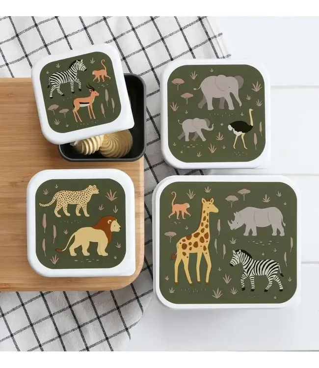 Lunch & Snackbox | Savanne | 4-delig
